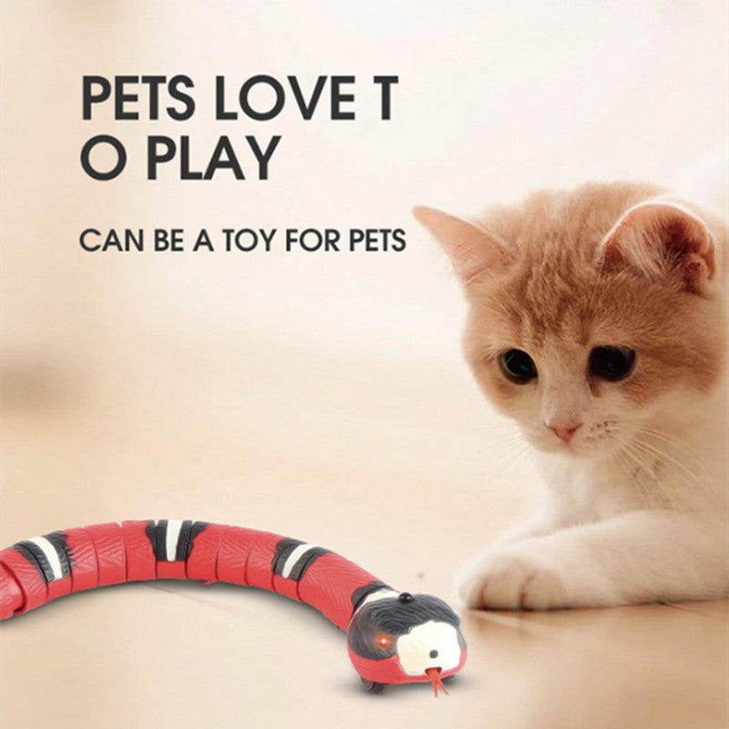 Automatic Cat Toy: Snake