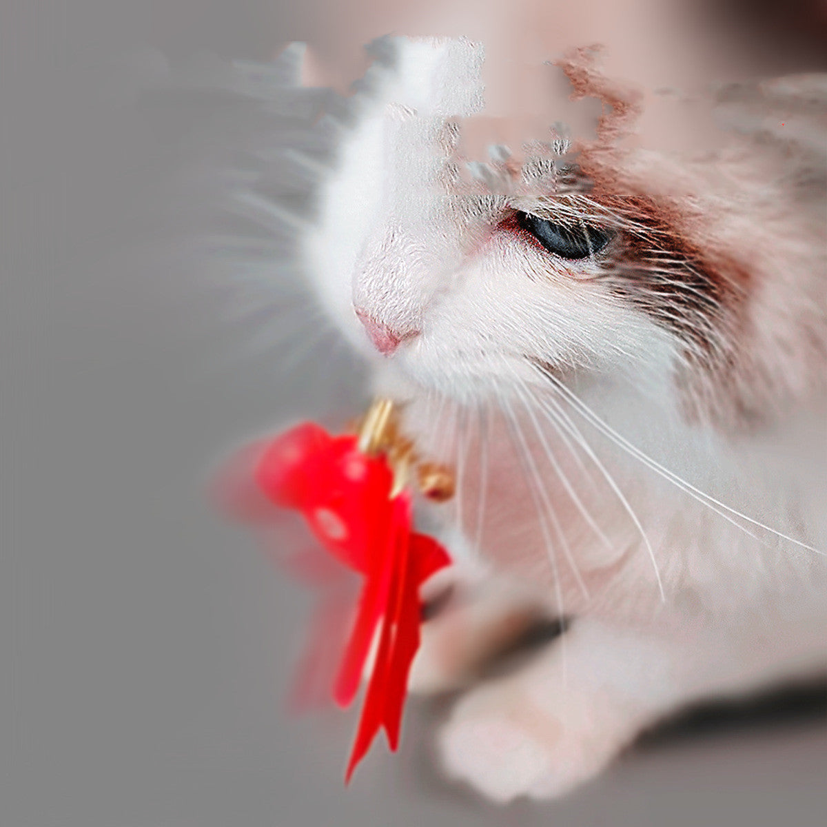 Rechargeable Automatic Jumping Cat Toy