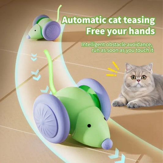 Automatic Cat Toy: Mouse Car